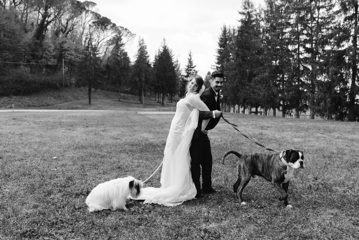 dog service wedding
